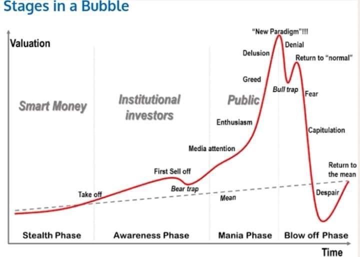 Ce este o bula economica si cum o recunoastem?