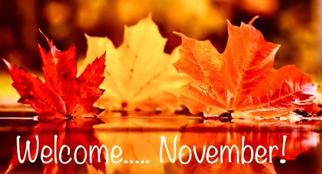 Welcome november !